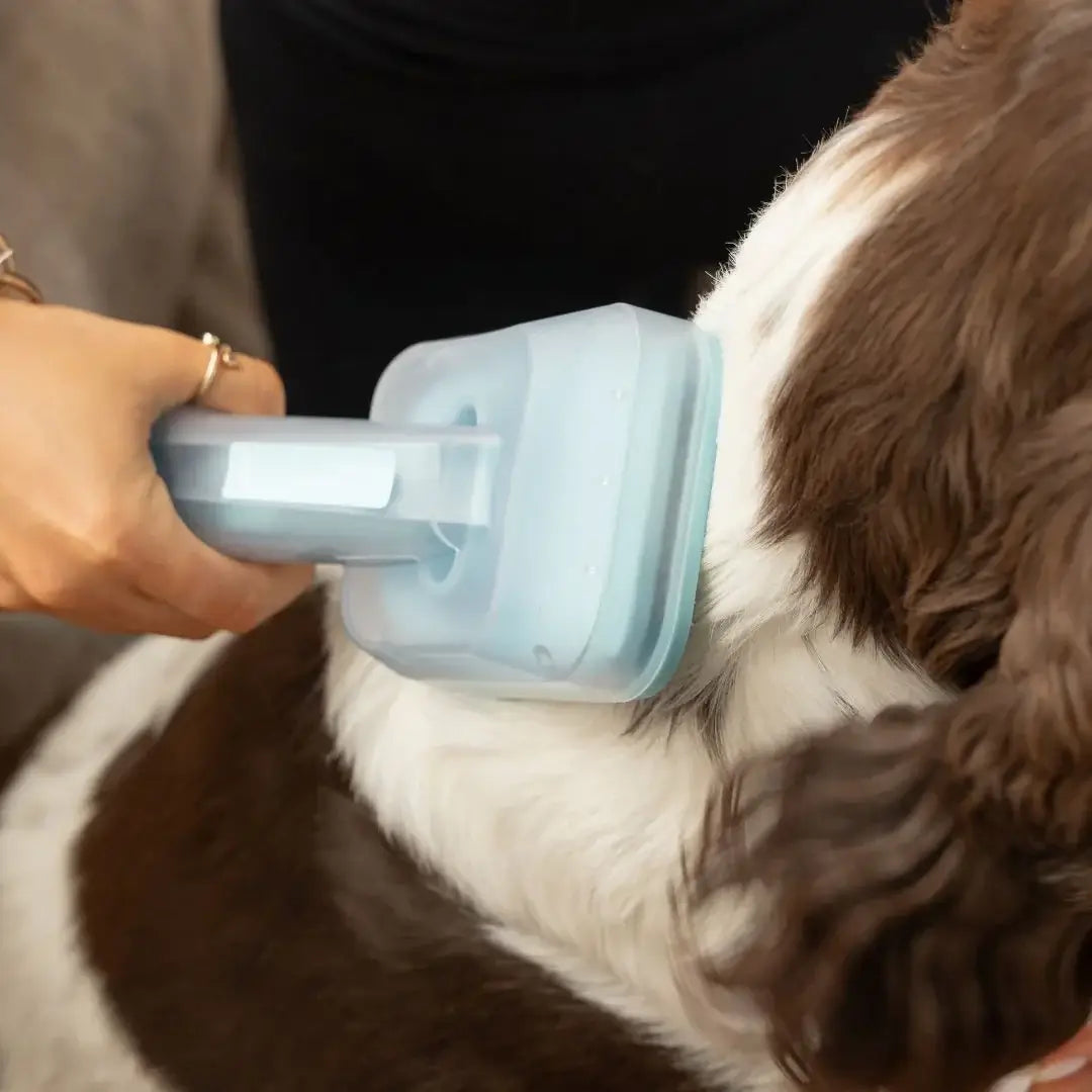 Snouten Grooming Kit — 5-in-1 Mess-Free Dog Grooming System